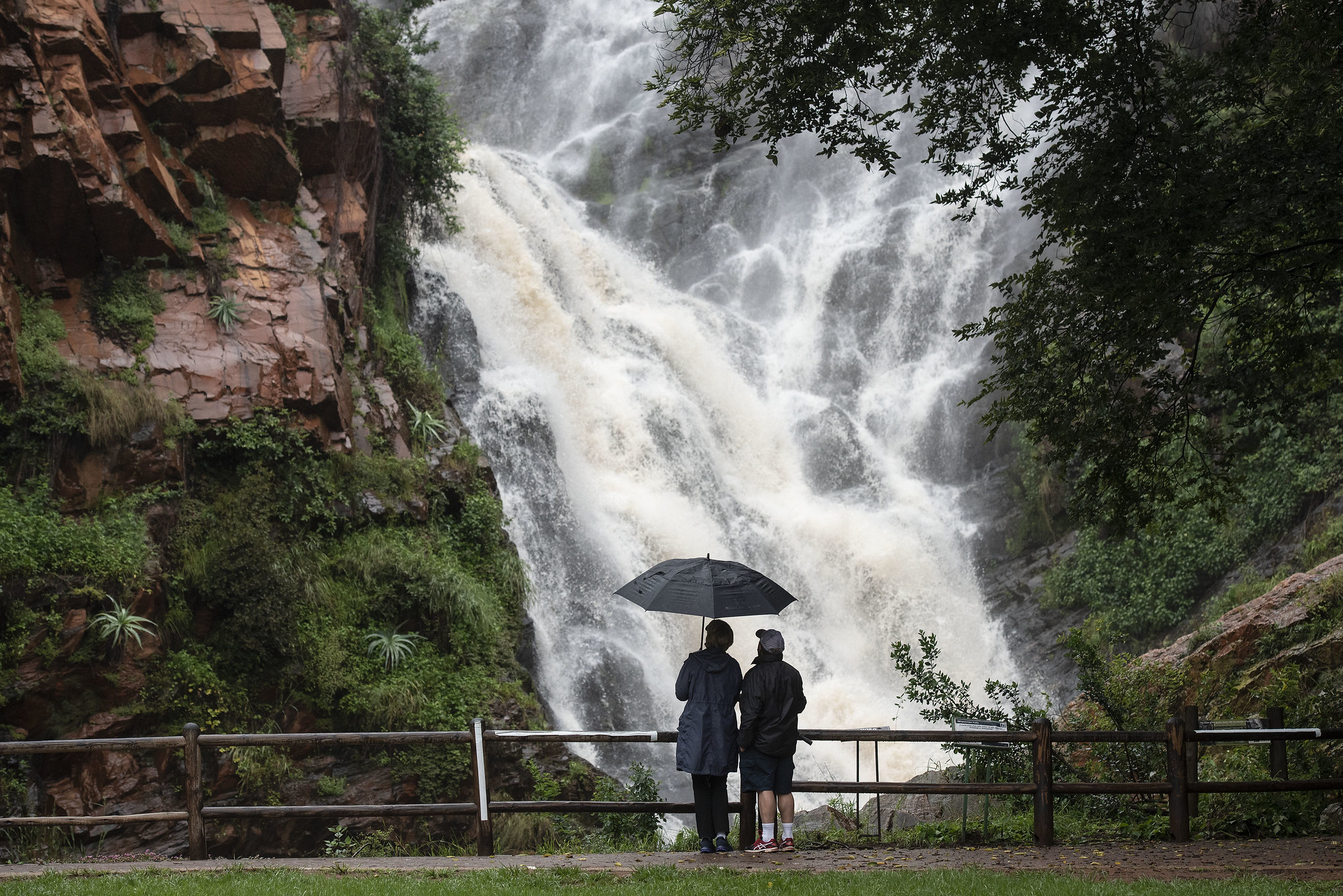 Walter Sisulu Garden